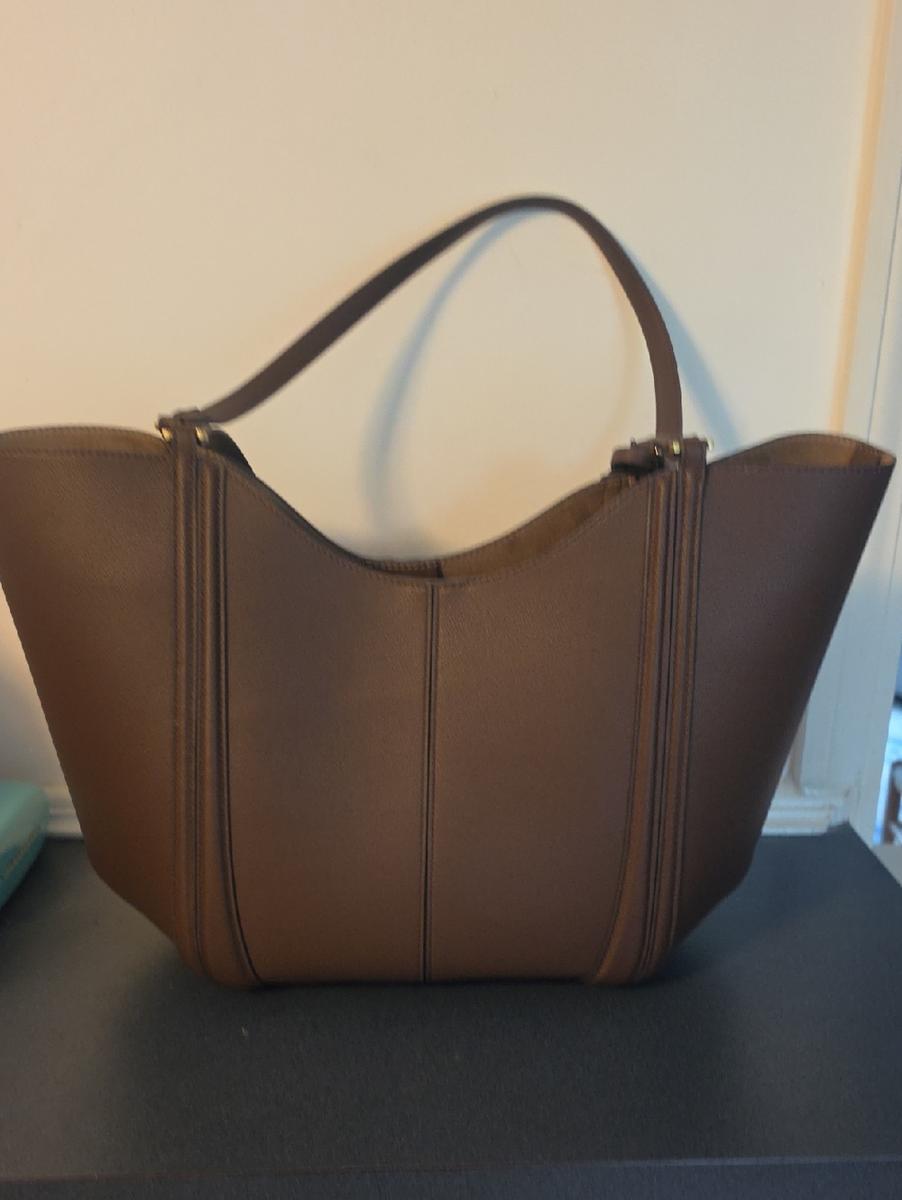 Everyday Brown Tote Bag with Structured Silhouette